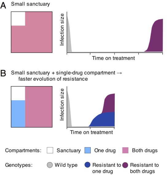Modified from Moreno-Gomez et al. (2015).