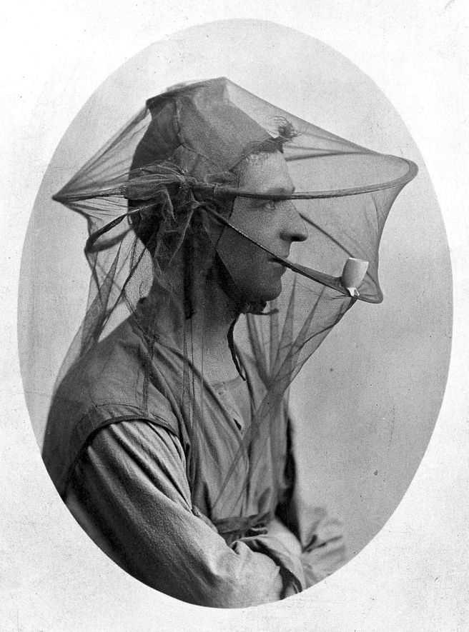 Mosquito nets used to be worn as veils in the early 20th century. Maybe it's time for mosquito netting to make a fashion comeback. (Credit: Wellcome Library. CC BY 4.0)